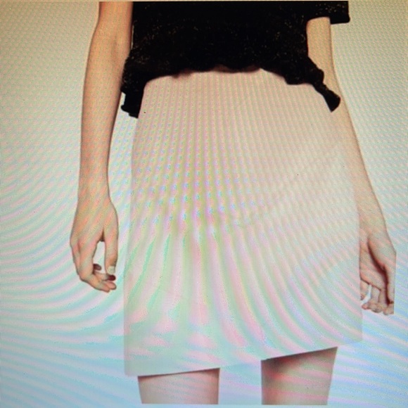 Zara Pink Blush Suede Vegan Leather Mini Zip Skirt (M) - Picture 13 of 13